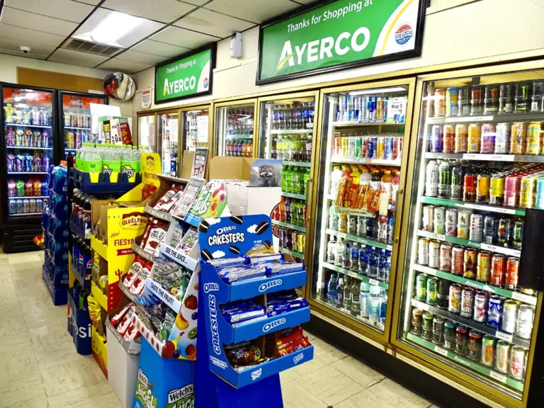 DSC04545 Web 768x576