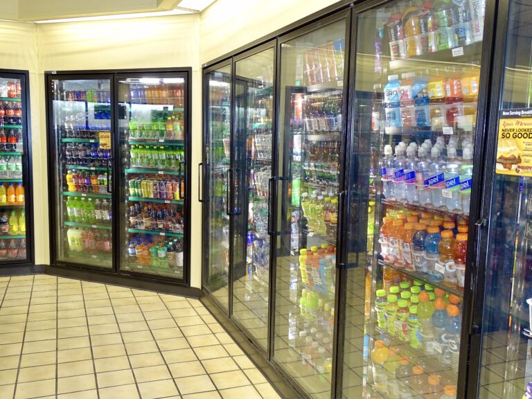 DSC05043 Web 768x576