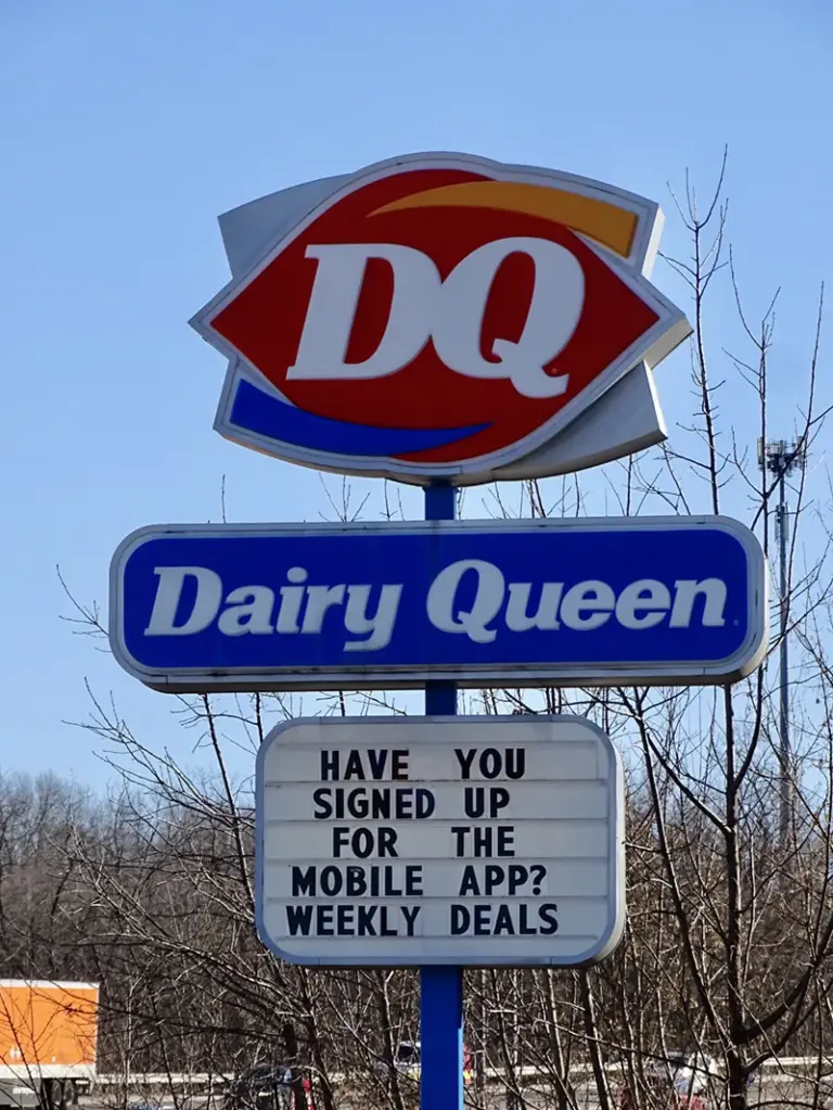 DSC05718 Web 768x1023